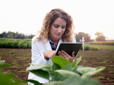 Inglés para ingeniería agroindustrial </br> Inglés Nivel A1